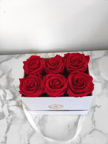 BOX OF 6 ROSES IN A WHITE BOX